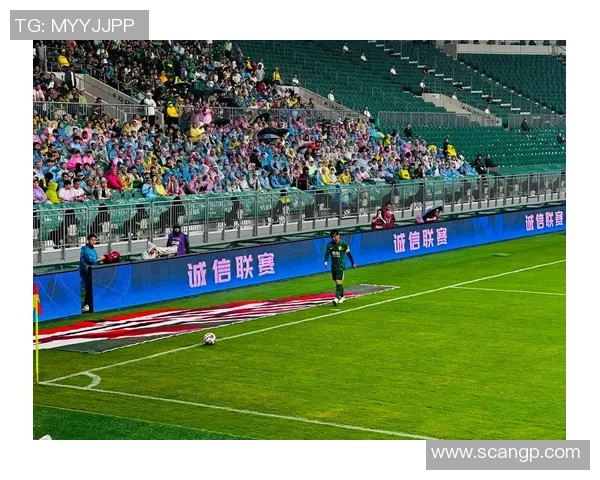 聚焦足球场上的15号球星：技术风采与赛场传奇的完美融合