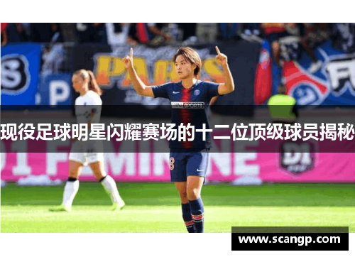 现役足球明星闪耀赛场的十二位顶级球员揭秘