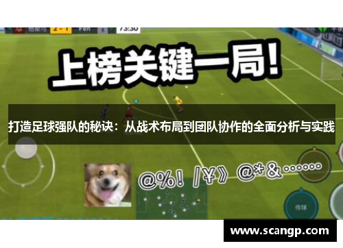 打造足球强队的秘诀：从战术布局到团队协作的全面分析与实践